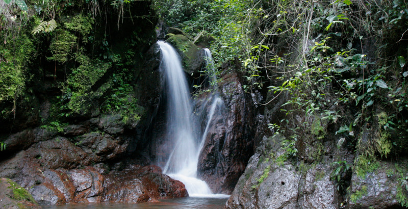 Photo: Geoff Oliver Bugbee / Mercy Corps
Waterfall at PANACAM that empties into Lake Yojoa.  In 1992 PAG signed an agreement with the Honduran government to manage the Centro Azul Meambar National Park (PANACAM).  It is a beautiful cloud forest that is surrounded by huge mountains and is populated by flowers, herbs, gigantic trees like mahogany and cedar.  Exotic birds and small mammals call this place home as well.  It is also a critical basin of clean water and fish (Tilapia) for the surrounding community.